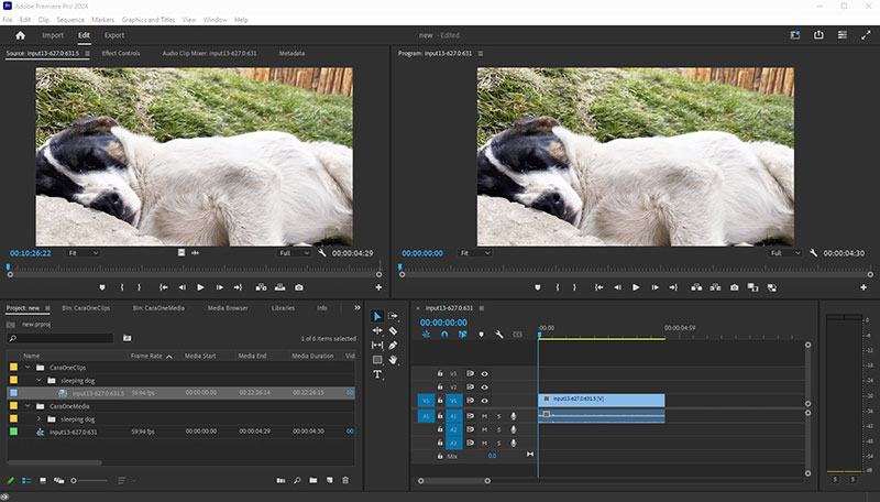 Cinegy Adobe caraone search