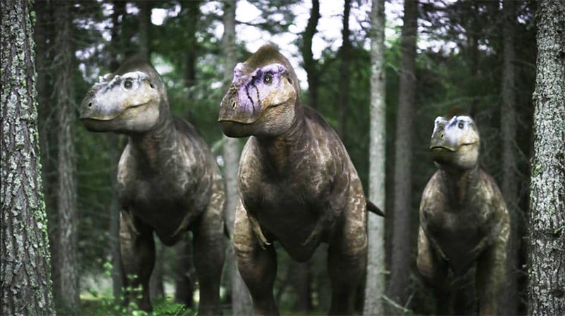 Lola Walking Dinosaurs2