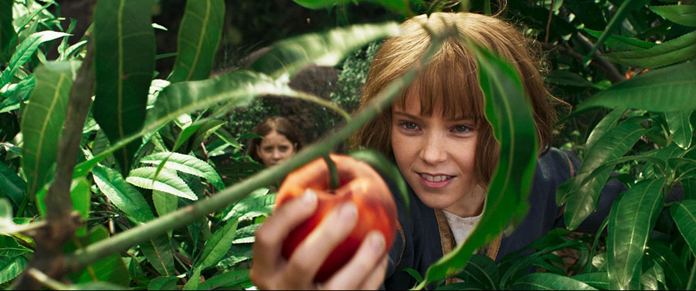 Filmlight furiosa fruit