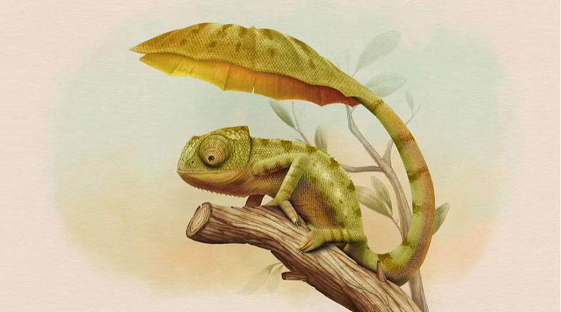 Hammerspace buck coda