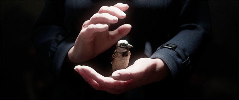 SIGGRAPH caf 341s2 file1 768x322