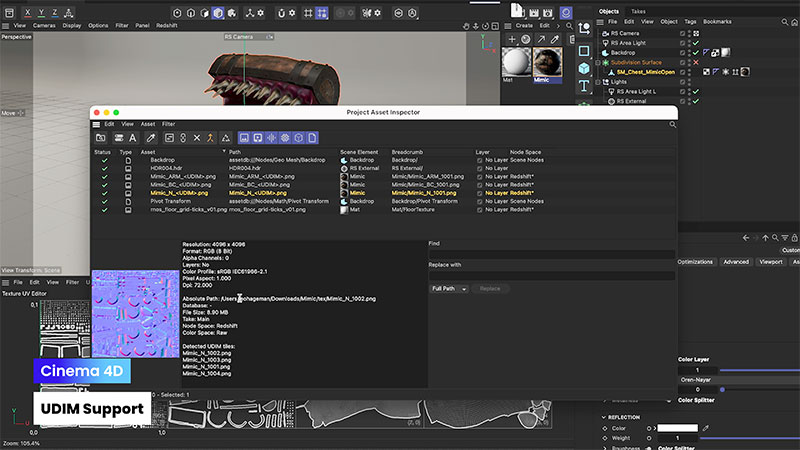 Maxon Cinema4D UDIMSupport Still1