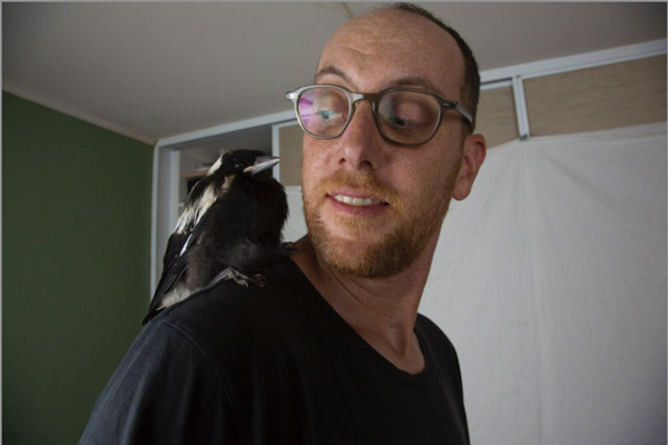 ALT bts penguin bloom