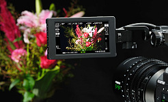 Fujifilm GFX ETERNA 55 blackKV 7