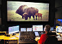Avid protools buffalo